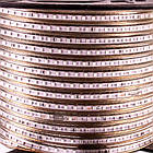 Світлодіодна стрічка 220В RGB AVT smd 5050-60 лід/м 10 Вт/м, герметична. Бухта 50 метрів., фото 3