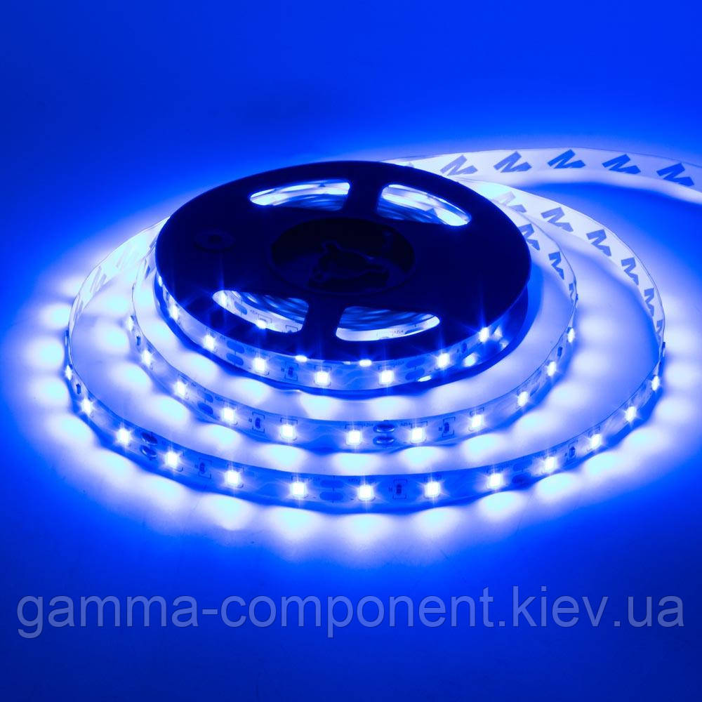 Світлодіодна стрічка 12В AVT PROFESSIONAL SMD 3528 (60 LED/м), синій, IP20 - бобіни від 5 метрів