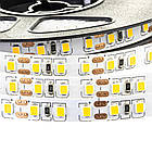 Світлодіодна стрічка 12В AVT PROFESSIONAL SMD 3528 (120 LED/м), жовтий, IP20 - бобіни від 5 метрів, фото 3