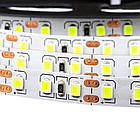 Світлодіодна стрічка 12В AVT PROFESSIONAL SMD 3528 (120 LED/м), зелений, IP20 - бобіни від 5 метрів, фото 4