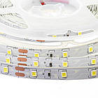 Світлодіодна стрічка SMD 2835 (60 LED/м), білий, IP20, 12В бобіни від 5 метрів, фото 3