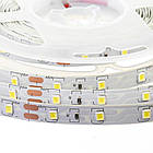 Світлодіодна стрічка SMD 2835 (60 LED/м), білий, IP20, 12В бобіни від 5 метрів, фото 4