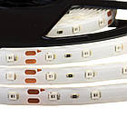 Світлодіодна стрічка SMD 2835 (60 LED/м), синій, IP65, 12В бобіни від 5 метрів, фото 4
