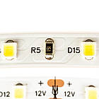 Світлодіодна стрічка SMD 2835 (60 LED/м), теплий білий, IP65, 12В бобіни від 5 метрів, фото 3