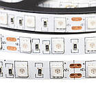 Світлодіодна стрічка SMD 5050 (60 LED/м), жовтий, IP20, 12В - бобіни від 5 метрів, фото 4