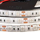 Світлодіодна стрічка SMD 5050 (60 LED/м), зелений, IP20, 12В - бобіни від 5 метрів, фото 4