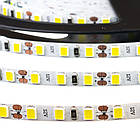 Світлодіодна стрічка AVT PROFESSIONAL SMD 2835 (120 LED/м), холодний білий, IP20, 5мм, 12В - бобіни від 5, фото 4