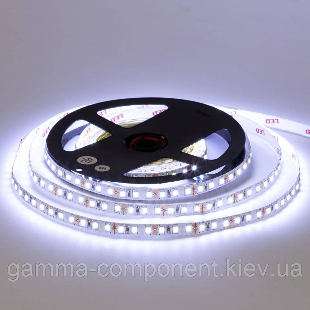 Світлодіодна стрічка AVT PROFESSIONAL SMD 2835 (120 LED/м), холодний білий, IP20, 12В - бобіна від 5 метрів