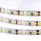 Світлодіодна стрічка AVT PROFESSIONAL SMD 2835 (120 LED/м), холодний білий, IP20, 12В - бобіна від 5 метрів, фото 4