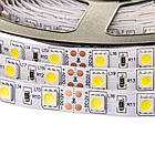 Світлодіодна стрічка AVT PROFESSIONAL SMD 5050 (60 LED/м), білий, IP65, 12В - бобіни від 5 метрів, фото 4