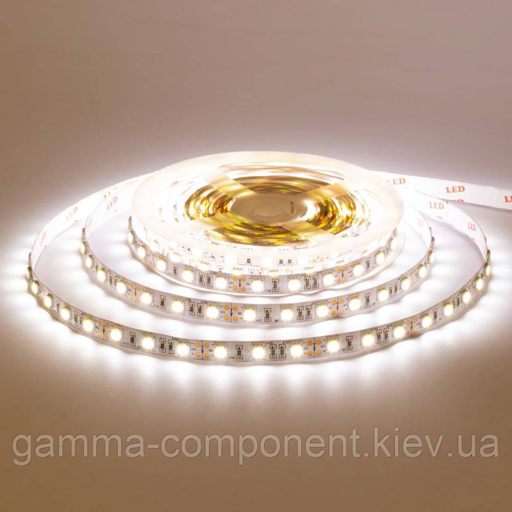 Світлодіодна стрічка AVT PROFESSIONAL SMD 5050 (60 LED/м), білий теплий, IP65, 12В - бобіни від 5 метрів