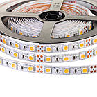 Світлодіодна стрічка AVT PROFESSIONAL SMD 5050 (60 LED/м), білий теплий, IP65, 12В - бобіни від 5 метрів, фото 4