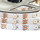 Адресна світлодіодна стрічка AVT PROFESSIONAL SMD 5050 WS2812B (30 LED/m), IP20, 5B - бобіни від 5 метрів., фото 4