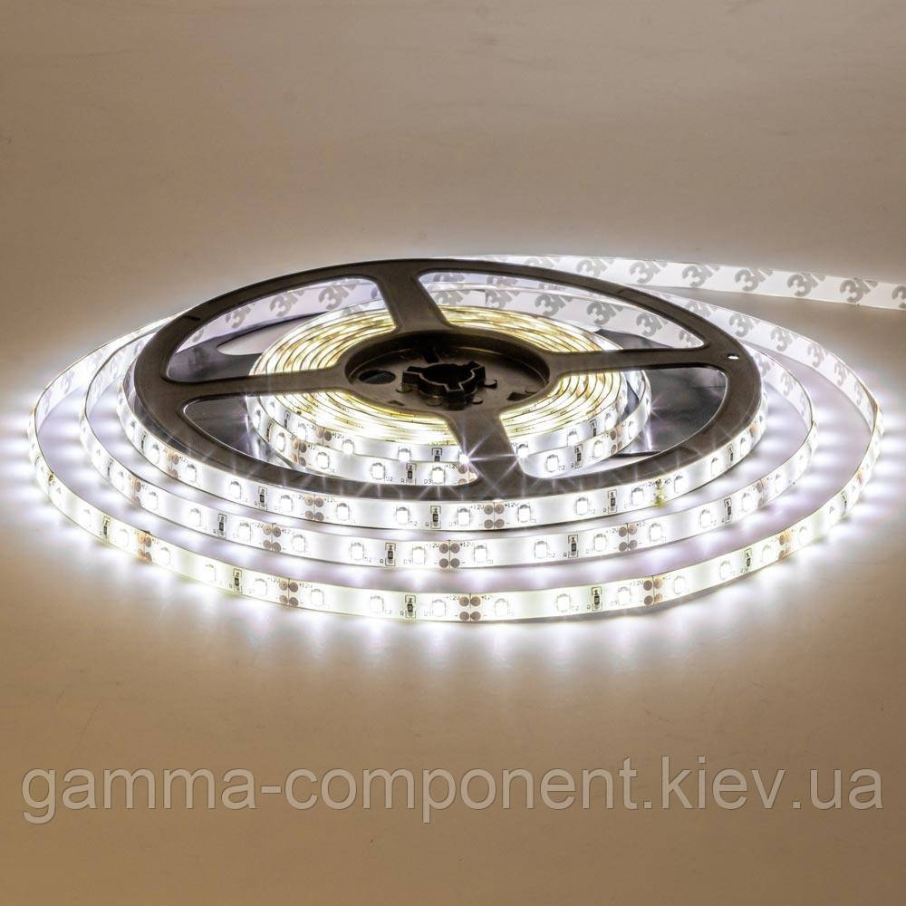 Світлодіодна стрічка MOTOKO PREMIUM SMD 2835 (60 LED/м), білий, IP65, 12В - бобіни від 5 метрів