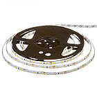 Світлодіодна стрічка MOTOKO PREMIUM SMD 2835 (60 LED/м), білий, IP65, 12В - бобіни від 5 метрів, фото 3