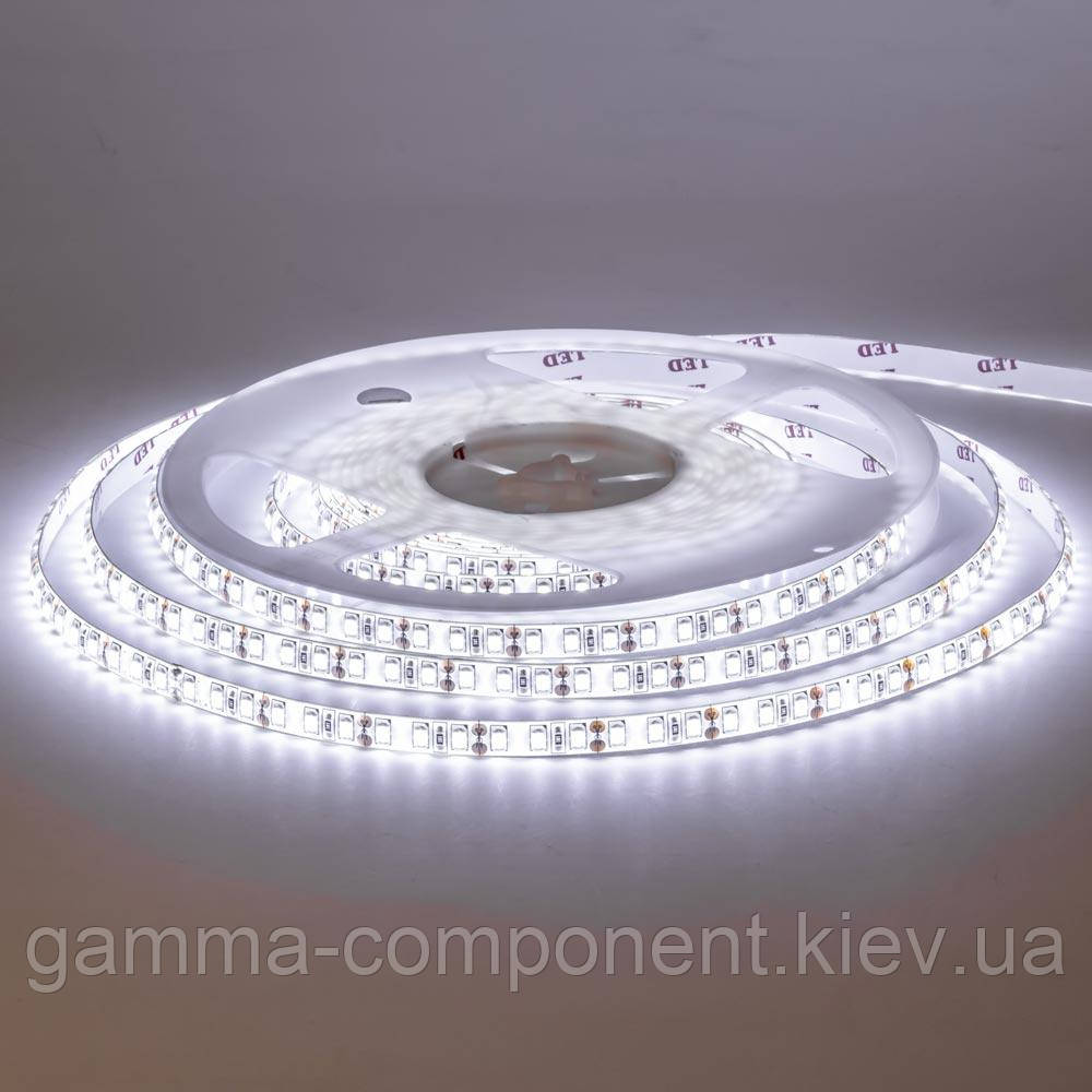 Світлодіодна стрічка MOTOKO PREMIUM SMD 2835 (120 LED/м), білий, IP20, 12В - бобіни від 5 метрів