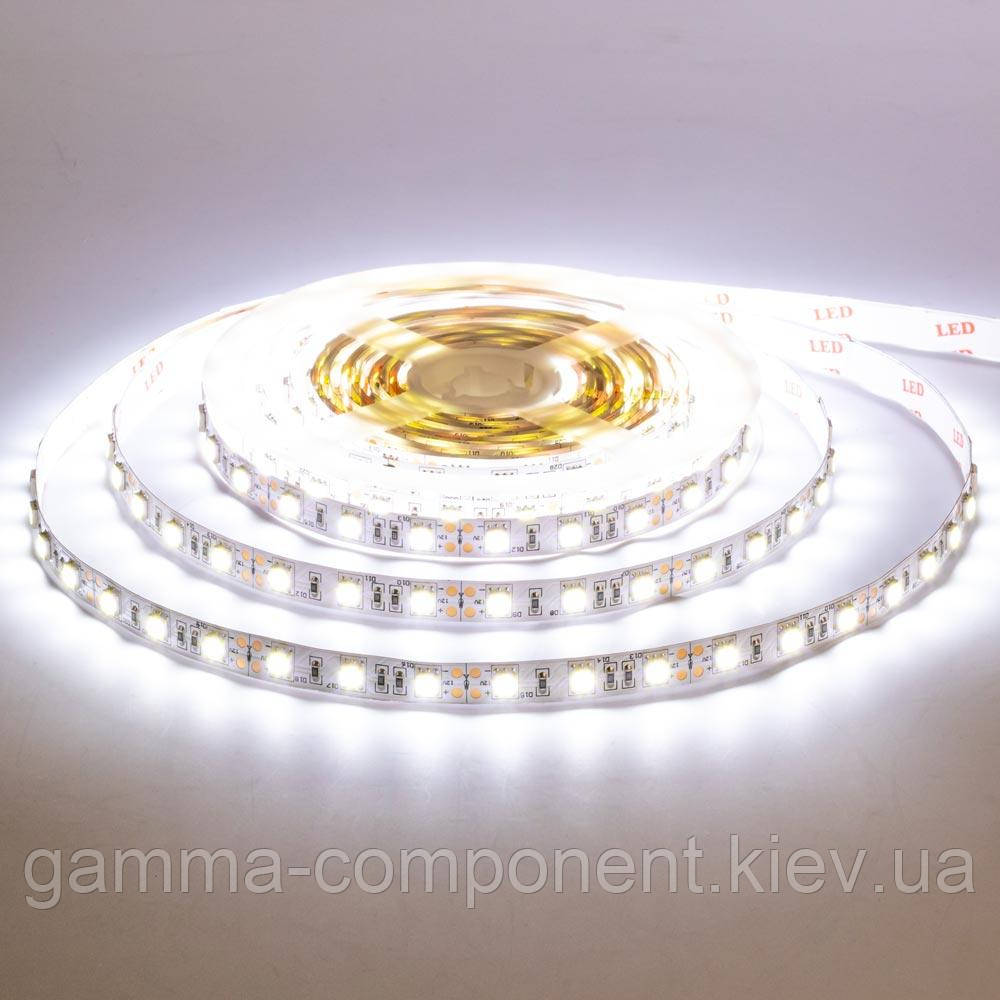 Світлодіодна стрічка біла 12V Motoko smd5050 60LED/м IP20, фото 1