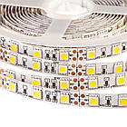 Світлодіодна стрічка MOTOKO PREMIUM SMD 5050 (60 LED/м), білий, IP20, 12В - бобіни від 5 метрів, фото 4