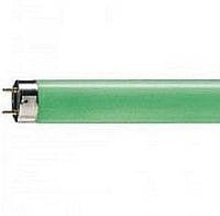 Лампа люмінесцентна зелена Т5 8w FERON GREEN