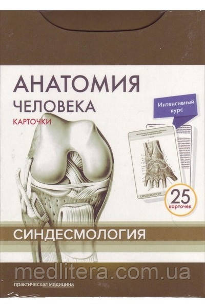 Сапіна, Анатомія людини: КАРТКИ (25шт). Синдесмология. Російські та латинські назви анатомічних структур