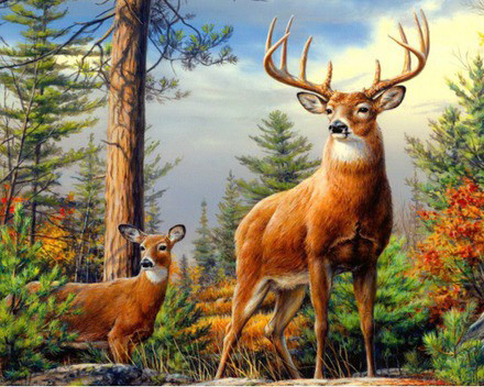 Набір для викладання алмазною мозаїкою Олені в лісі DM-354