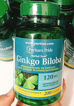 Гінгко Білоба Puritan's Pride Ginkgo Biloba 120 mg 200 капс, фото 2