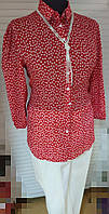 Блуза- сорочка червона в дрібну білу квітку -B-3