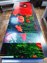 Фото панель універсальна ПЕТ, Самофіксована, 62 х 205 см (товщіна 1.2 мм), маки червоні в полі, фото 2