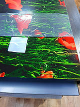 Фото панель універсальна ПЕТ, Самофіксована, 62 х 205 см (товщіна 1.2 мм), маки червоні в полі, фото 4