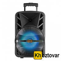 Портативная колонка Ailiang KOLAV-120C 12"