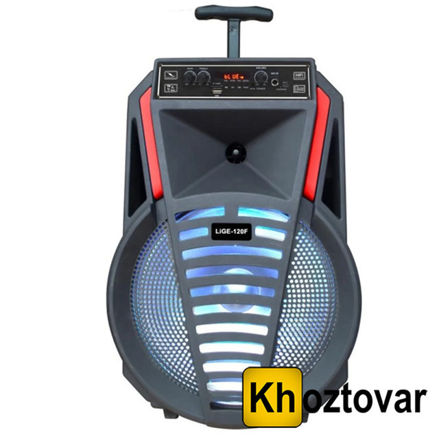 Портативна колонка Ailiang KOLAV-120F 12", фото 1