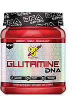 Глютамін BSN Glutamine DNA (309 g)