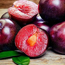 Саджанці гібридних форм