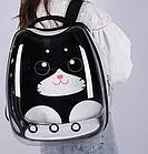 Рюкзак-переноска для кішок і собак прозорий, фото 3