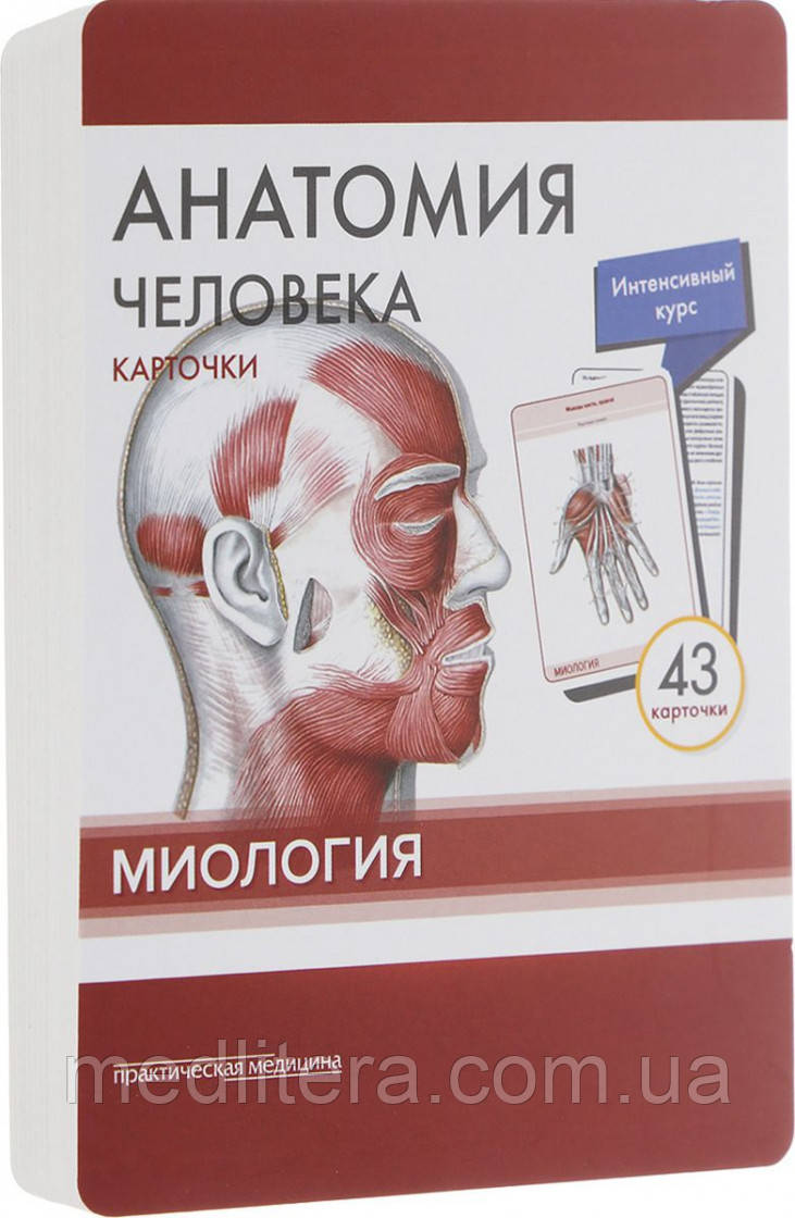 Сапіна, Анатомія людини: КАРТКИ (43шт). Миология. Російські та латинські назви анатомічних структур