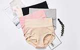 Високі антибактеріальні трусики, фото 8