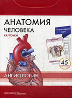 Сапин, Анатомия человека: КАРТОЧКИ (45шт). Ангиология. Русские и латинские названия анатомических структур