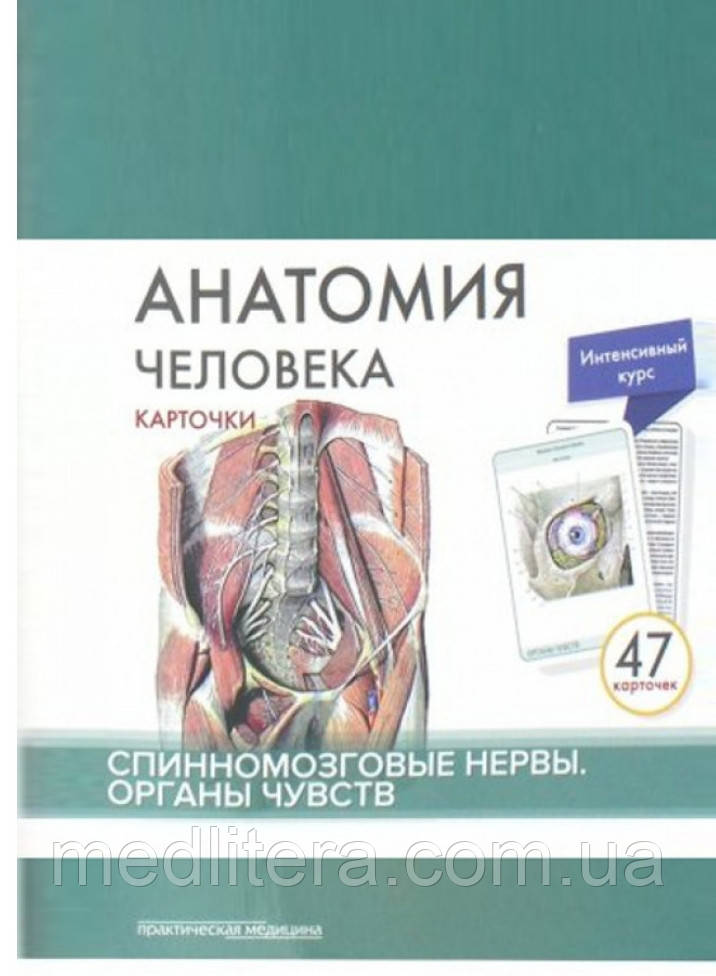 Сапіна, Анатомія людини: КАРТКИ (47шт). Спинномозкові нерви. Органи почуттів