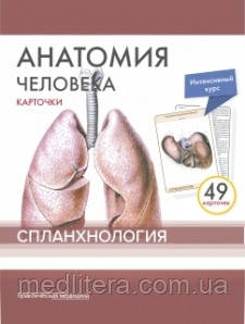 Сапіна, Анатомія людини: КАРТКИ (49шт). Спланхология. Російські та латинські назви анатомічних структур