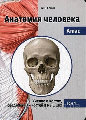 Сапіна, Анатомія людини. Атлас. Том 1 Вчення про кістках, з'єднаннях кісток і м'язах