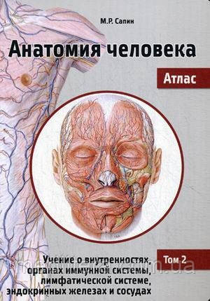 Сапіна, Том 2: про нутрощах, органах імунної системи, лімфатичної системи, ендокринних залозах і судинах
