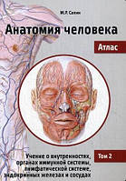 Сапіна, Том 2: про нутрощах, органах імунної системи, лімфатичної системи, ендокринних залозах і судинах
