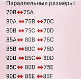 Комплект - бюстгальтер 80В і трусики Intimissimi, Італія, фото 3