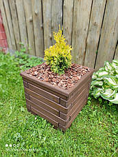 Дерев'яна яний ящик для рослин.Кашпо, фото 3
