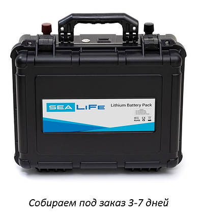 Літієвий акумулятор Серія SeaLiFe LiFePO4 (12В-80А/год), фото 2