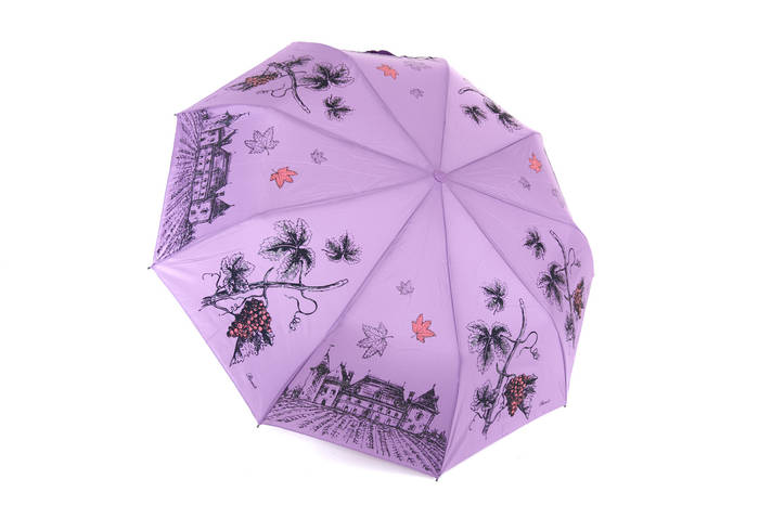 Купить Стильный однотонный женский зонт с архитектурой, цена 600 ...