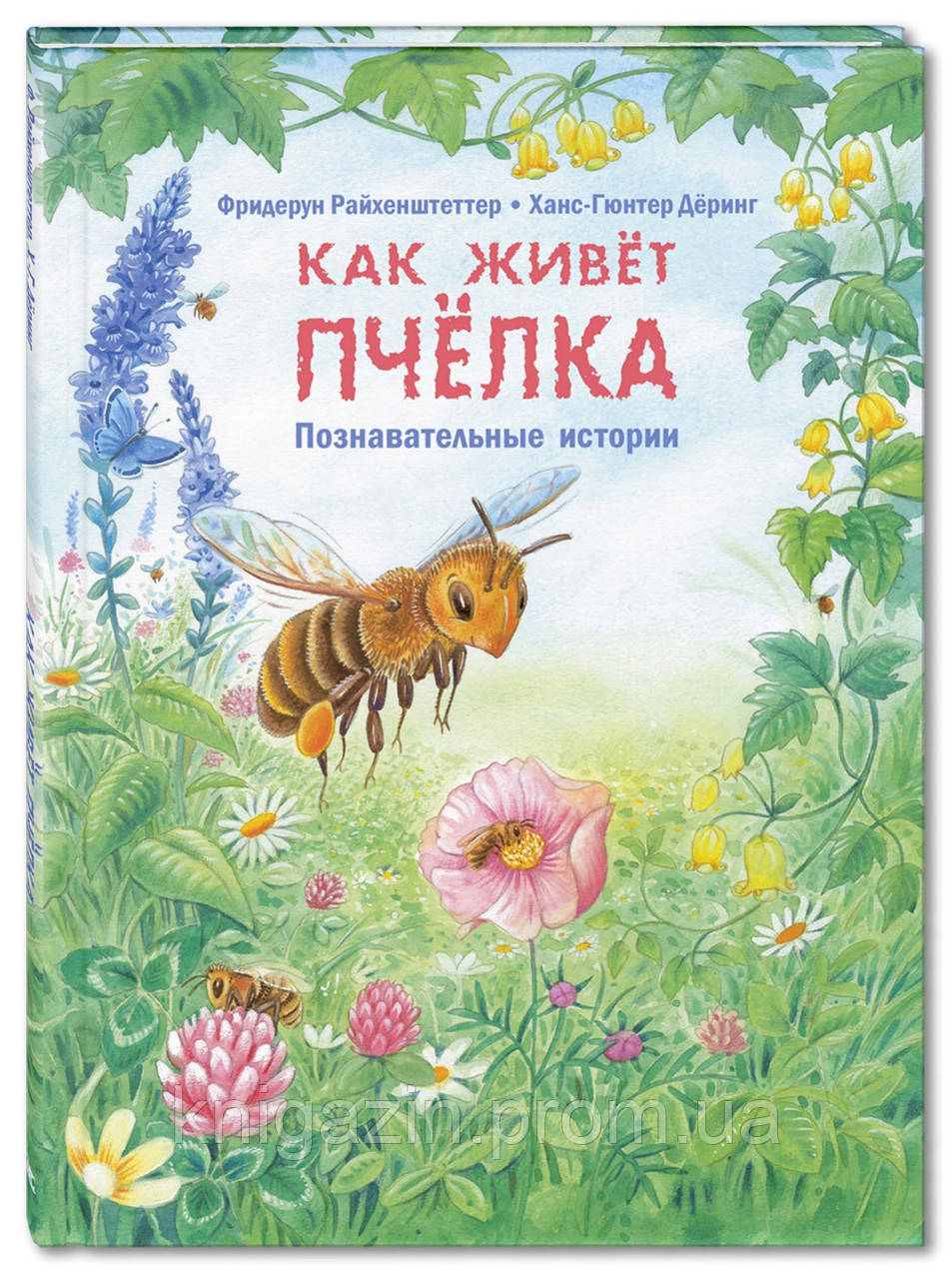 Книга Як живе бджілка. Пізнавальні історії