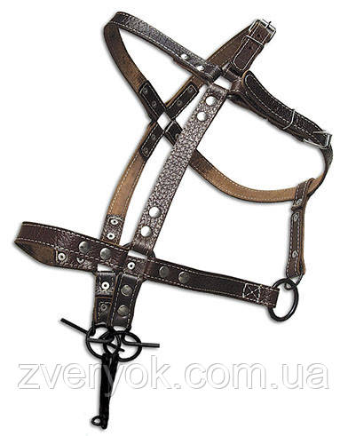Вуздечка для коня західного типу Horse Stall шкіряна. Вуздечка-кантер для коня з трензелем.