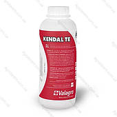 Кендал ТЕ (1 л) Kendal