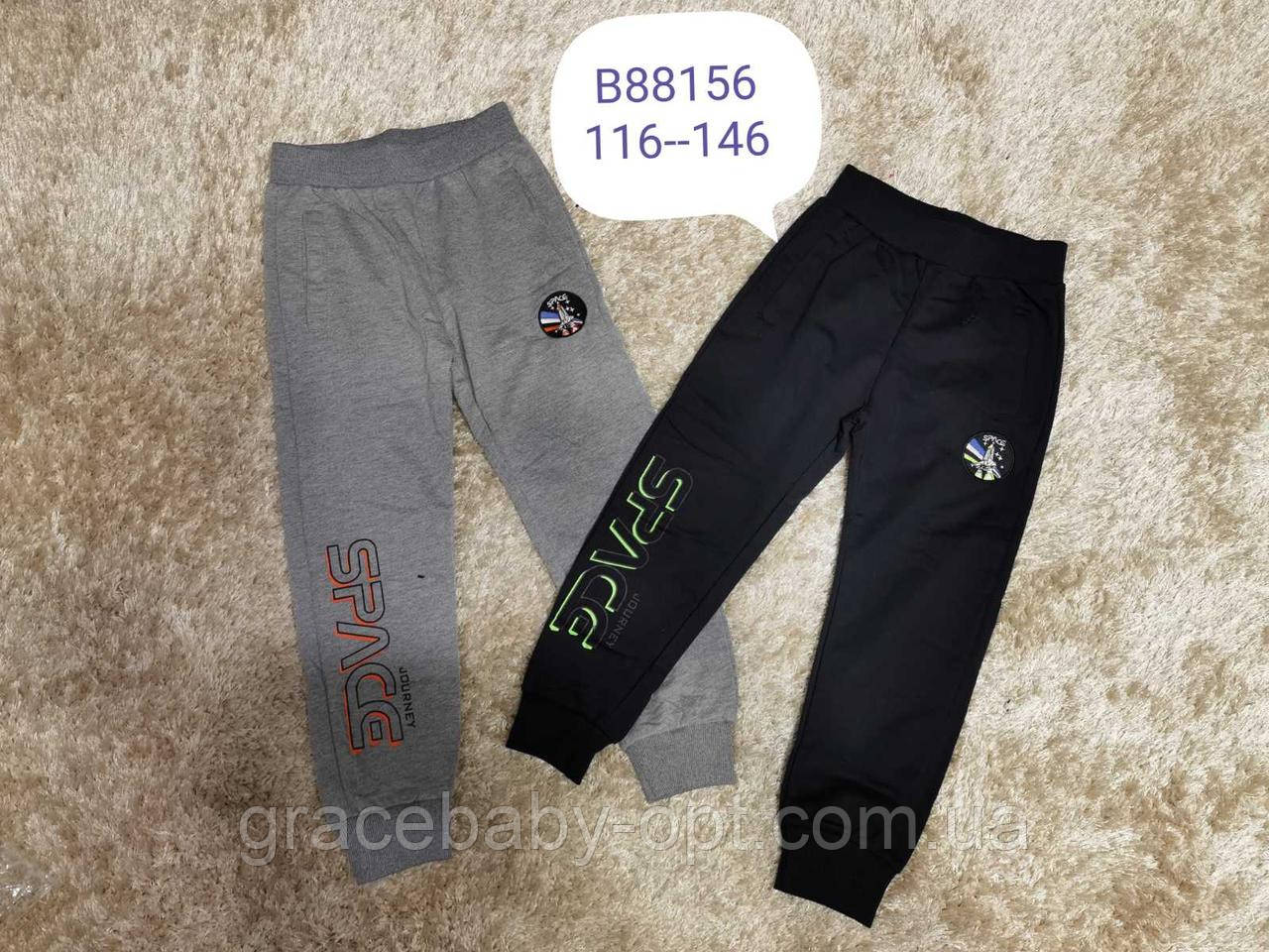 Спортивні штани для хлопчика оптом, Grace, 116-146 см, № В88156